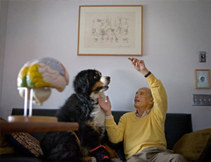 ddos在线攻击平台