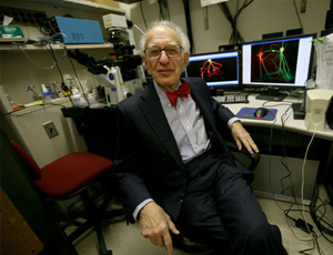 绿色环保无污染的ddos在线网页端